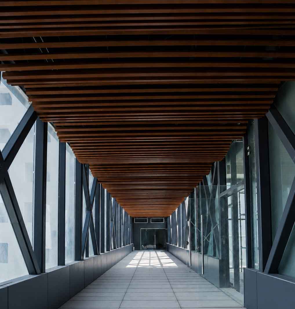 Skywalk
